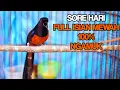 Download Lagu Pancingan SORE HARI murai batu APAPUN pasti ikut BONGKAR ISIAN langsung GACOR DOR