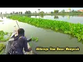 Download Lagu Pertarungan melawan ikan besar yang sangat menegangkan, Sampai gak ada yang bantu