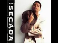 Download Lagu Jon Secada  - Dreams That I Carry