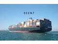 What is an ECCN