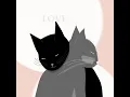 Cats need a hug too sometimes