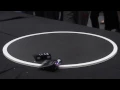ROBOTEX 2016 MINI SUMO