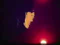 DISMEMBER - Dreaming In Red (OFFICIAL MUSIC VIDEO)