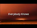 Download Lagu Sigrid - Everybody Knows (Lyrics)