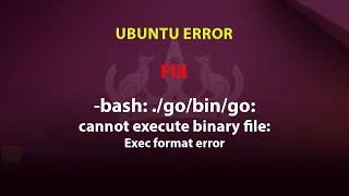 UBUNTU FIX bash go cannot execute binary file Exec format error