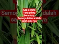 Download Lagu ketahuilah agar kalian salah satu nya menjadi orang yang beruntung. #generasiquraniyangkuatdanamanat