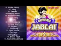 Download Lagu House Mix Goyang Jablay (Jarang Dibelai) VS Kucing Garong [Full Album]