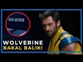 Download Lagu AKHIRNYA AVENGERS DOOMSDAY AKAN MENGHADIRKAN WOLVERINE!