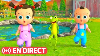 🐸 Meilleures Chansons pour Enfants et Bébé ☀️🎶 Danse avec les animaux ! | HeyKids en Français