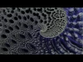 Amazing Spiral - 3D fractal trip