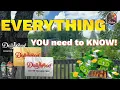 Your Passport to Thrills Dollywood s 2024 Annual Passes