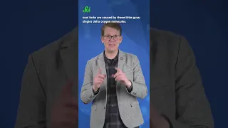 Why Is Lightning Shaped Like That Shorts Science SciShow  Why Is Lightning Shaped Like That Shorts Science SciShow