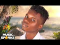 Download Lagu 🔥 Swid Official - LOVE, SYMPHONY, FELONY (LSF) 🎧 | 2024 SIERRA LEONE MUSIC  🇸🇱 | Music Sparks