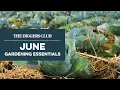 June Gardening Essentials