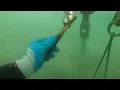 ECO MOORING FOR THE WIBIT