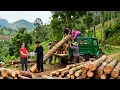 Lagu Epic Timber Transport – 500+ Giant Logs from Hill Villagers to Traders! | Tieu Hue Daily