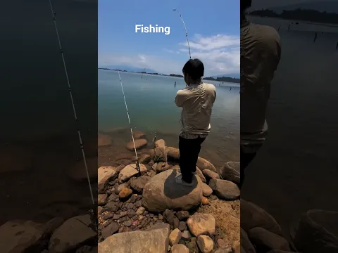 100kg fish