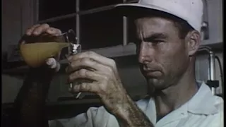 Bartow Florida 1950 s