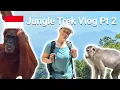 Lagu Jungle Trek, Jungle Trek, in Bukit Lawang 🇮🇩 Jungle Trekking in Sumatra - Part 2 | Vlog #6
