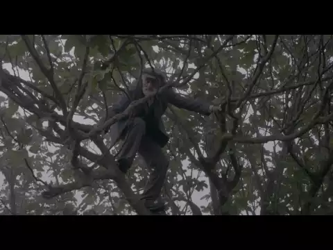 Fig (Trailer)