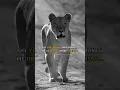 Download Lagu sigma rules 🔥 | I Am DIFFERENT 🔥😈 | watsapp status #shorts #motivation #viral