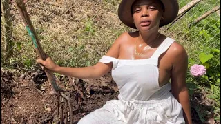 gardening landscaping my lawn life on the homestead offgrid farmer girl jess