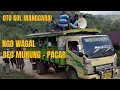 Download Lagu NGO WAGAL || TEGI NAI NGALIS || MANGGARAI