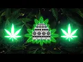 Green Lion Crew - Keep Blazin' (ft. Roe Summerz) (Reggae)