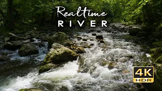 4K HDR Realtime River - Real-Time Forest River Ambience - Flowing Water Relaxation Sounds