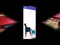 AniCare App - the making and about the app