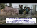 38thシングルの表題曲「ネーブルオレンジ」Music Video公開【乃木坂46】