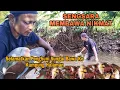 Download Lagu AIR SUNGAI KEKERINGAN SETELAH KEMARAU, TERNYATA DI BAWAH KEBUN SARANGNYA IKAN SEGAR
