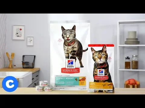 Download MP3 Hill's Science Diet Special Needs Cat Food | Chewy