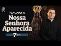 Download Lagu 7º dia - Novena a Nossa Senhora da Conceição Aparecida