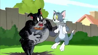 Download Tom and jerry gokil lucu MP3