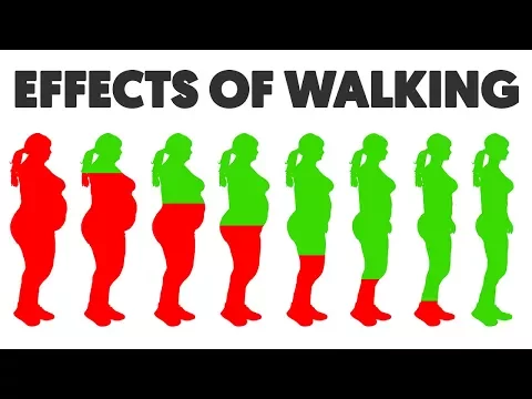 Download MP3 This is What Happens To Your Body When you Walk 5, 30 and 60 Minutes
