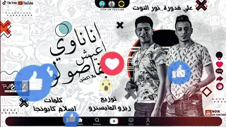 مهرجان   انا ناوي اعيش بقا صولو   علي قدورة   نور التوت   توزيع زيزو المايسترو      دندنها
