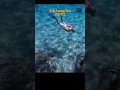 Download Lagu Pantau laut sejenak