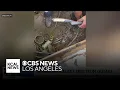 Spectrum service outage in Los Angeles County caused by felony criminal attack company says