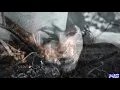 Download Lagu Любить не обещаю  А, может быть, боюсь...