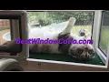 Window Catio for Indoor Cats Easy No-Drill Cat Window Box