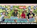 Download Lagu LANJUTAN PANEN BLUBERRY JUMBO SAMPE BERKILO WALAUPUN PANAS MANDI KERINGAT TETAP HEBOH DAN KALAP