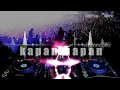 Lagu Kapan-kapan (wayase) dj_LR. 2020