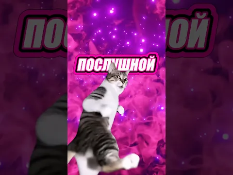 ТЫ ХОЧЕШЬ? 🐈🤍