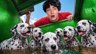 I Found 10 Lost Puppies in a Dumpster!