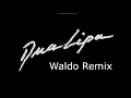 Download Lagu Dua Lipa - Love Again (Waldo Disco House Remix)