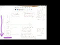 Channel