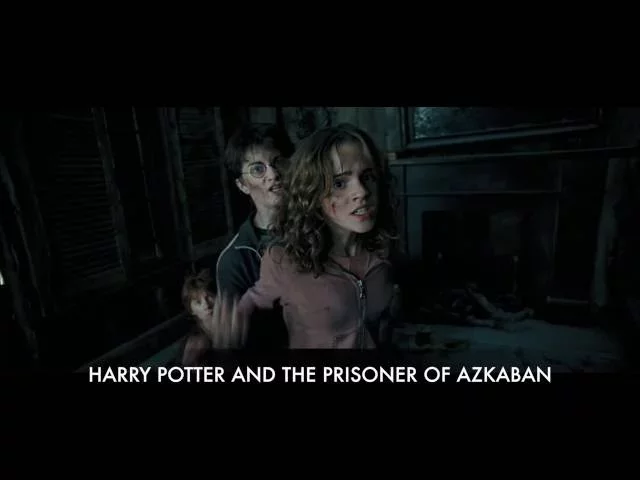 Sirius Black is an Animagus