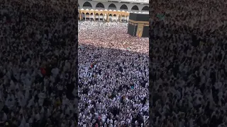 لبيك اللهم لبيك لا شريك لك لبيك ان الحمد والنعمه لك والملك لا شريك لك لبيك                دندنها