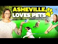 Discover Pet-Friendly Asheville Parks Vets and More
